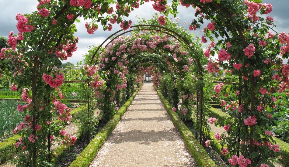 Jardins do Tempo