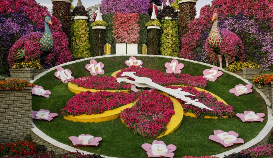Alice no pais das maravilhas